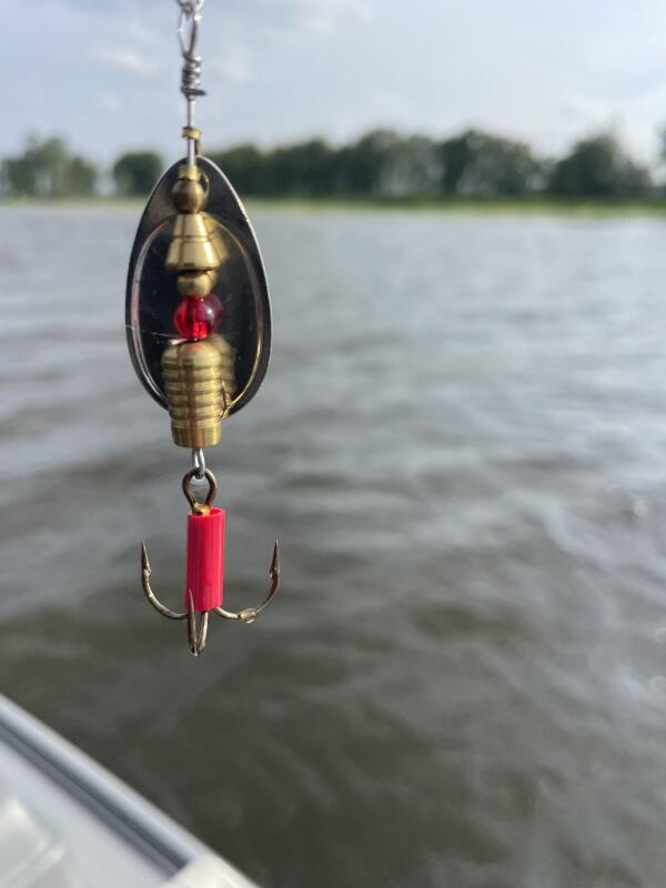 A white bass frenzy