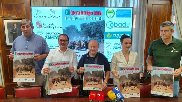 Porto (Zamora) planta cara a las consecuencias de los incendios y acogerá sin variaciones el XXII Concurso Morfológico de la Raza Alistana