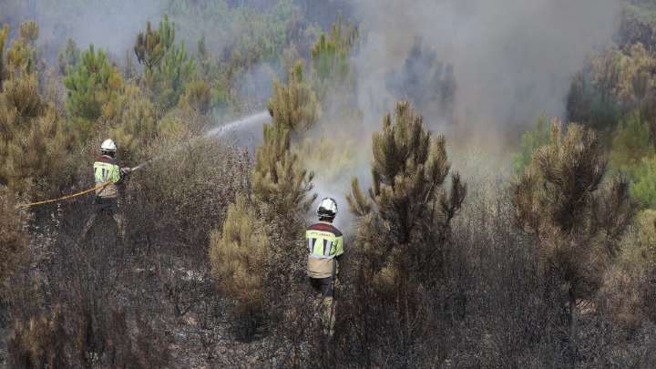 Agentes medioambientales critican que la Junta "es incapaz" de mejorar el operativo contra incendios