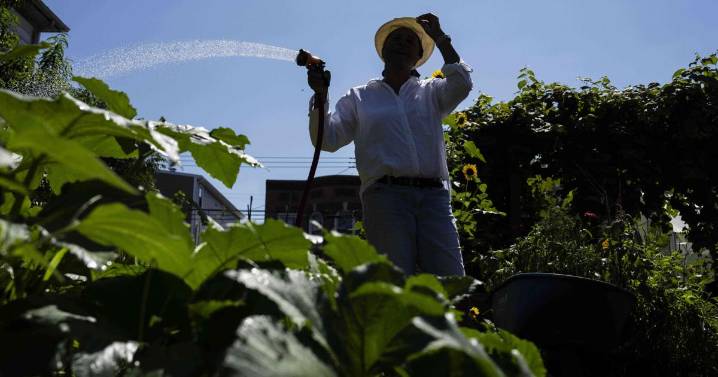 Green spaces are key to combating record heat in marginalized communities
