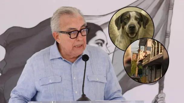 Rocha Moya condena asesinato de dos perritos