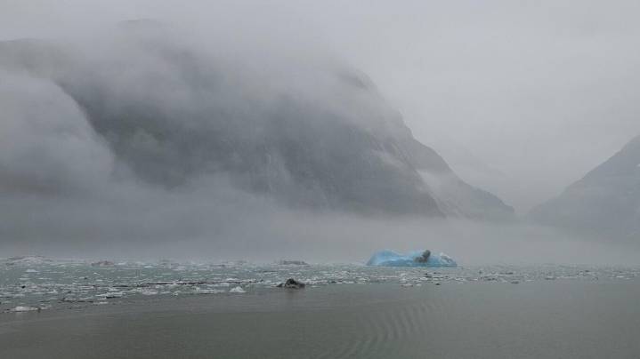 'Pure chaos out of nowhere': Mega-landslide and tsunami rip through Tracy Arm south of Juneau