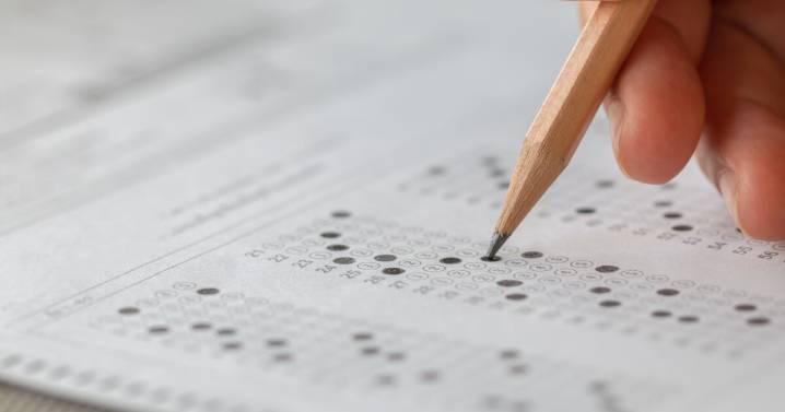 Georgia students struggling with English Language Arts, but make gains in Math on Milestone exams
