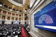 Con sorpresas en la votación, la oposición dio el primer paso en el Congreso para rechazar el veto a la Emergencia en Discapacidad