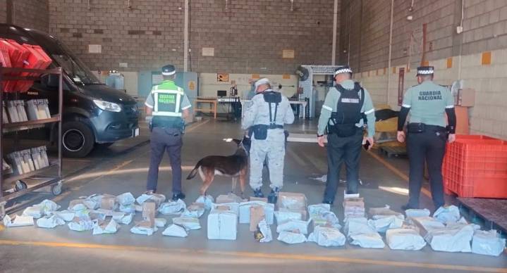 Aseguran más de 518 ‘vapes’ y 63 paquetes de droga en empresa de paquetería en Hermosillo