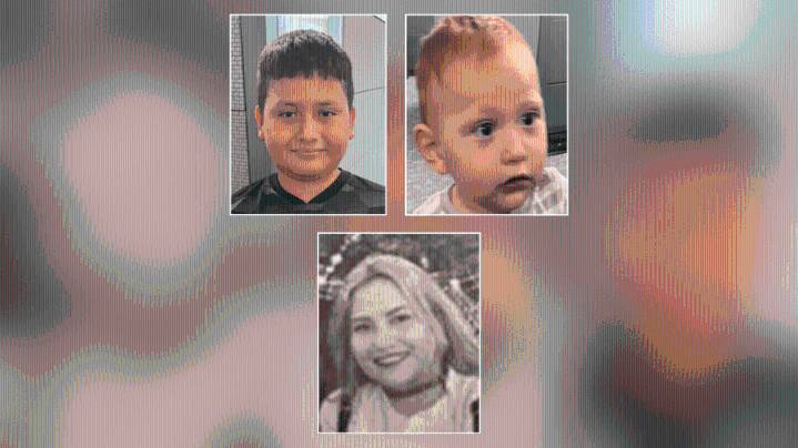 Young brothers who disappeared with birth mom in South L.A. are found
