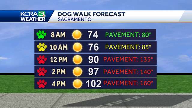 How to keep pets safe during Northern California heat wave