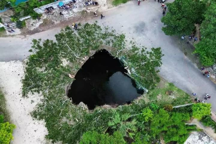 ¿El fin de los tiempos? La profecía maya que revivió tras la caída de una ceiba sagrada en Yucatán