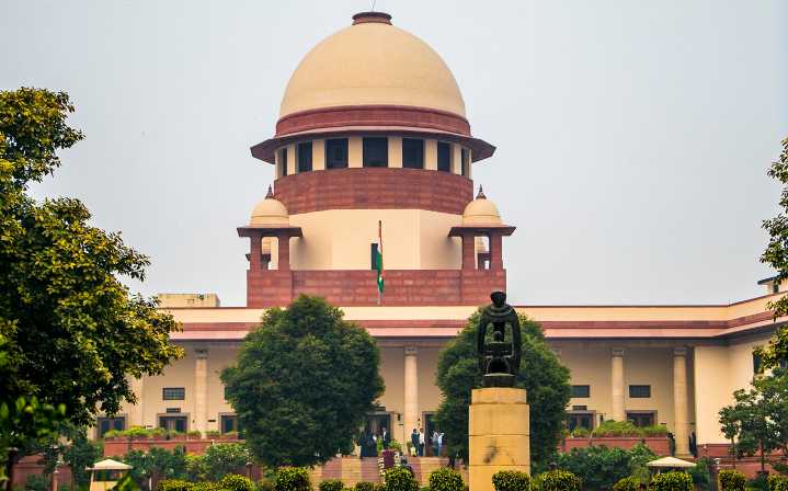 India Supreme Court permits release of stray dogs after vaccination, sterilization