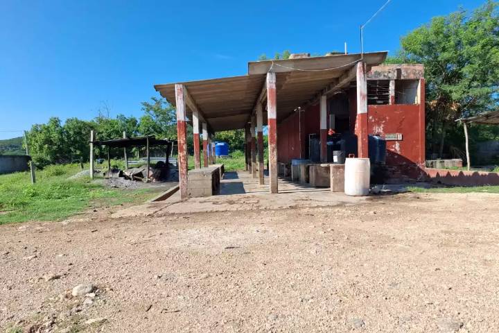 Entre techos dañados y moscas: Piden rehabilitar el rastro público de Hecelchakán