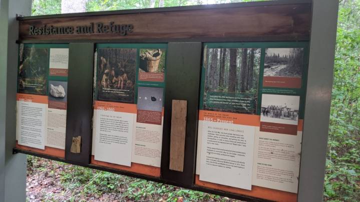 Trump Administration changing narratives in some national parks