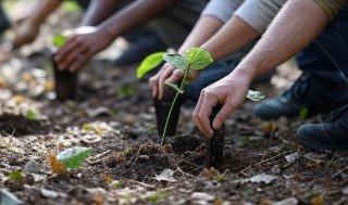 Gobierno de Compostela realiza reforestación en Chacala con 500 árboles
