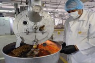 Fundación Ciepe estandariza proceso tecnológico para obtención de harina de maíz tostado
