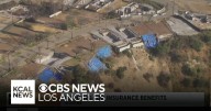 Wildfire survivors fight for insurance benefits eight months after Los Angeles wildfires