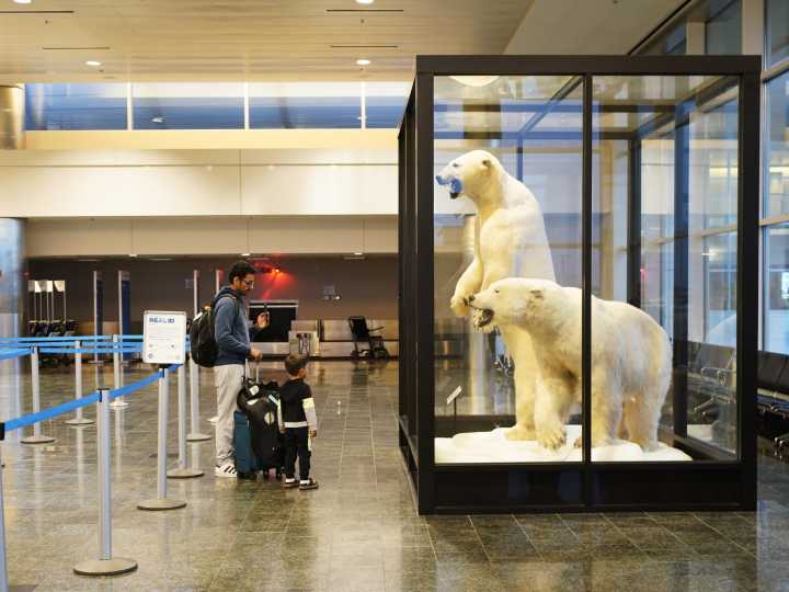 La cumbre de Donald Trump y Vladimir Putin en Alaska: ¿Se abre la posibilidad de un encuentro tripartito con Volodimir Zelenski?