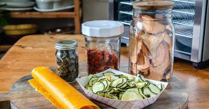 Dehydrating food instructions and recipes