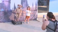 Harry Potter magic enchants fans at RailRiders game