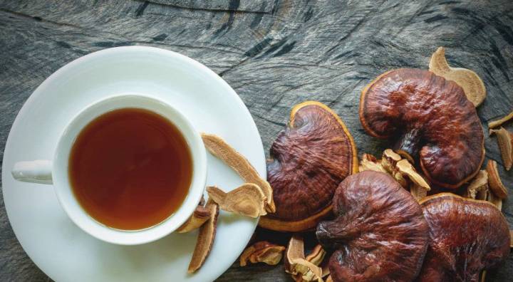 Qué es el hongo Reishi y su uso tradicional