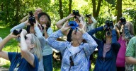 Birding with the Southern Adirondack Audubon Society