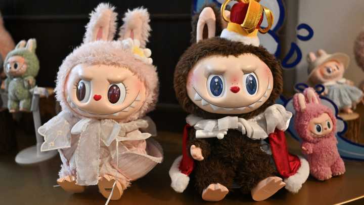 Labubu heist: Watch thieves wipe out store's entire doll collection