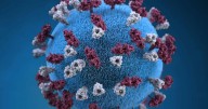 Two children in Washington County are positive for measles