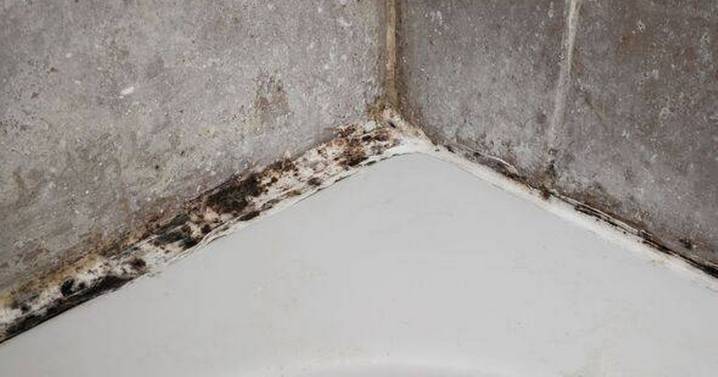 'Amazing' tip to remove mould from silicone sealant in 10 minutes