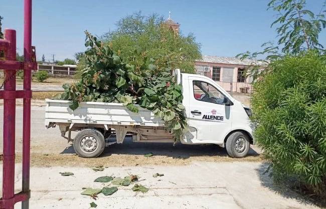 Apoyan con limpieza a planteles escolares