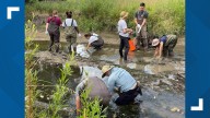 Rare freshwater mussels discovered in Plaster Creek