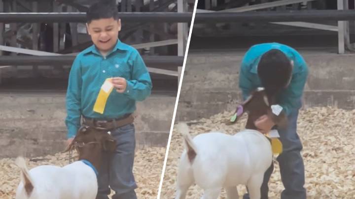 Boy’s joyful reaction to goat show win in Texas goes viral