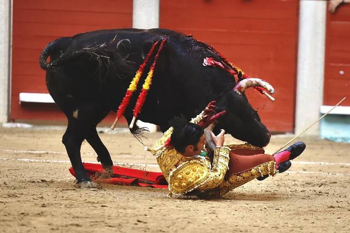 Y llegó en Pontevedra la temida cornada a Morante que parte por la mitad una temporada histórica