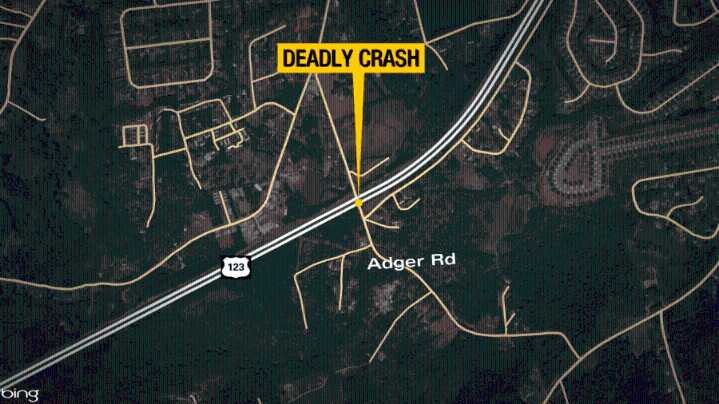 One killed after hitting tree in Pickens Co. crash