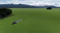 Planta acuática cubre y asfixia el lago más grande de El Salvador