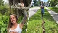 Woman wins 2025 Florida Python Challenge as record amount of snakes removed