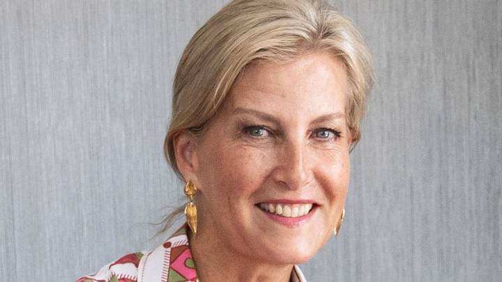 Duchess Sophie 'evokes nostalgia' in her busiest dress of 2025