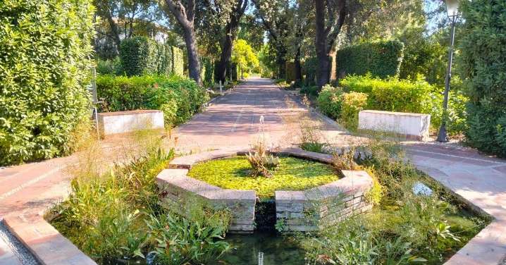 ¿Te gustan las plantas? Consejos y trucos para que sobrevivan al calor del verano cordobés