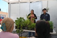 Realizan taller de farmacia viviente en JM