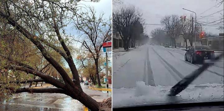 La tormenta Santa Rosa golpeó fuerte en Mendoza: evacuados, granizo y árboles caídos