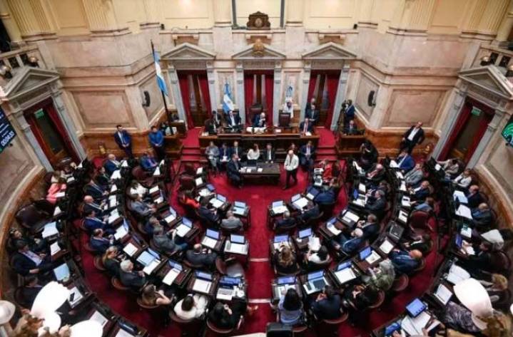 El Senado aprobó la emergencia pediátrica en el Garrahan y la ley de financiamiento universitario