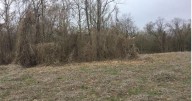 DEP invites comments on planned Mason County biomass and carbon
