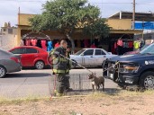 Aseguran a perro que atacó a otro canino y a su dueño en Villa Juárez