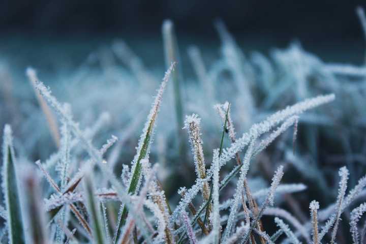 Parts of Maine got frost last night