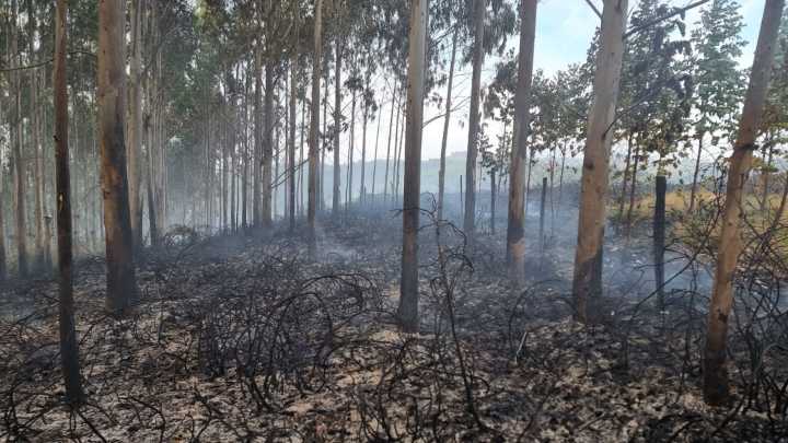 Controlado un incendio forestal en As Pontes