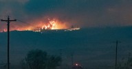 Flathead Electric Cooperative puts wildfire mitigation plan to the public