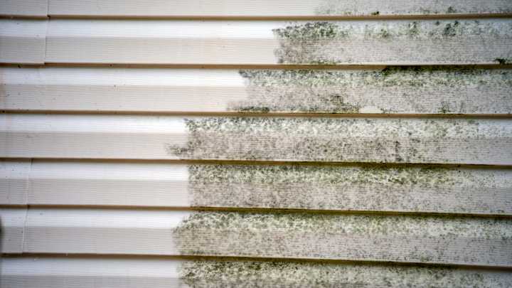 Why Vinegar Is Your Secret Weapon To Cleaning Mildew From Vinyl Siding