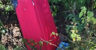 Dead dog found dumped in suitcase in North London