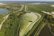 Florida’s once-pristine springs threatened by pollution, development and climate change
