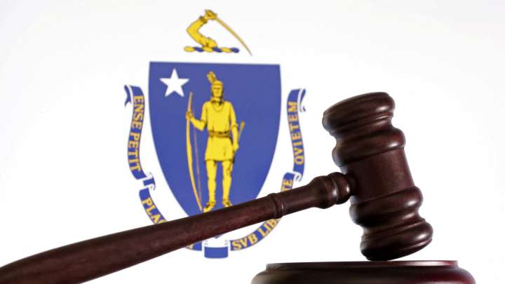 A pilgrim shark, Dunkin' Dino: What should a new MA state flag be?