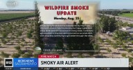 Yolo, Solano air quality alerts issued due to Pickett Fire in Napa Valley