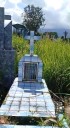 Mucha maleza en el Cementerio de San Cristóbal