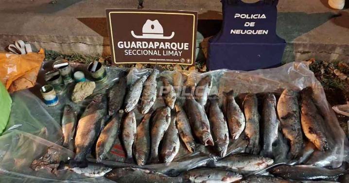 Neuquén: secuestran truchas en control sobre la Ruta 40 rumbo a Bariloche y aplican multas